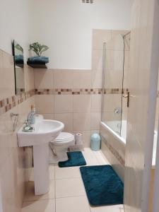 a bathroom with a sink and a toilet and a shower at Proleefic House on Florence in Bellville