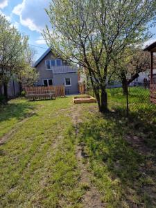 un patio con un árbol y un banco en Apartamenty Mikołajki na Kajki, en Mikołajki