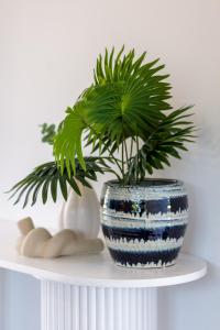 a blue and white vase with a plant on a shelf at Riccarton 2 bed 1 bath w/garage in Christchurch