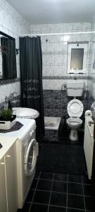 a bathroom with a toilet and a sink and a shower at Serbian home Smederevo in Smederevo