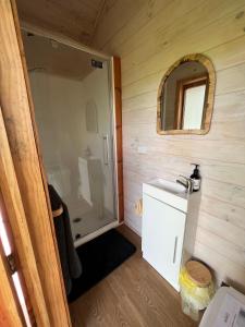 a bathroom with a shower and a sink and a mirror at Laurels Retreat in Mangonui