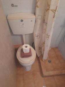 ein Badezimmer mit einem WC mit einer Rolle Toilettenpapier in der Unterkunft Belvedere Hotel parga in Parga