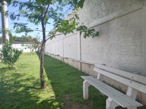 a wooden bench sitting next to a wall with a tree at AP Moderno in Pelotas