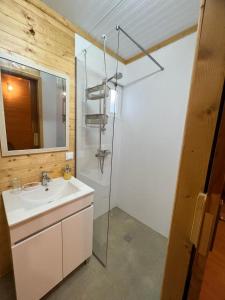 ein Bad mit einer Dusche, einem Waschbecken und einem Spiegel in der Unterkunft Casa da Praia in Carvalhal
