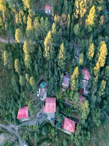 an aerial view of a house in the forest at The Canadian Woods Resort in Nainital