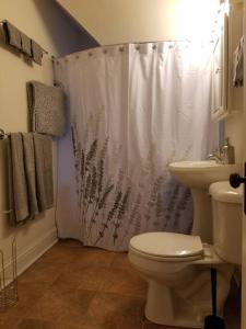 a bathroom with a toilet and a shower curtain at Bright, big family escape, W/parking, dogs welcome in Oak Park