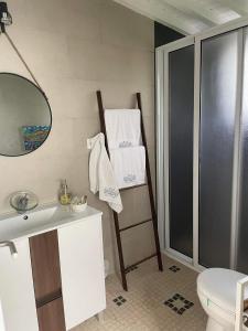 bagno con lavandino, servizi igienici e specchio di Quinta dos Chorões a São Vicente Ferreira
