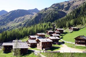 Príroda v okolí apartmánu