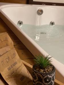 uma banheira com um vaso de planta ao lado em Cabana Paradouro da Serra em Cambará