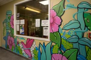 Gallery image of Silverfern Backpackers in Auckland