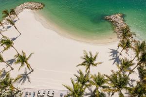 een luchtzicht op een strand met palmbomen en de oceaan bij JW Marriott Clearwater Beach Resort & Spa in Clearwater Beach
