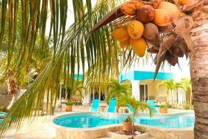 a palm tree next to a swimming pool at Aqua Viva Suites in Kralendijk