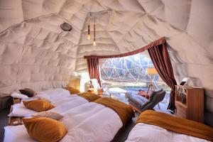 a room with four beds in a tent at HOSHIFULL DOME FUJI in Fujikawaguchiko