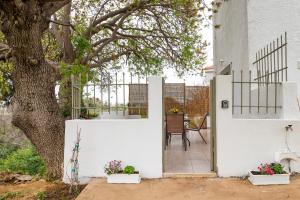 A garden outside traditional suburbs maisonette