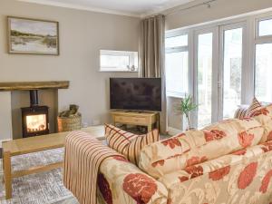 a living room with a couch and a television at Willow Cottage in Conwy