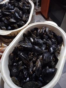 two buckets of mussels sitting on a table at Apartman i Sobe Čule Cres in Cres