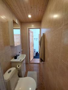 a bathroom with a toilet and a sink at Kesklinna peatuspaik in Tallinn