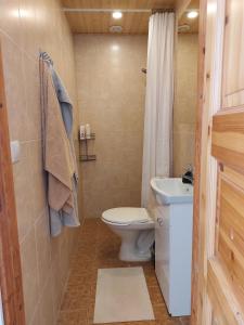 a bathroom with a toilet and a sink at Kesklinna peatuspaik in Tallinn