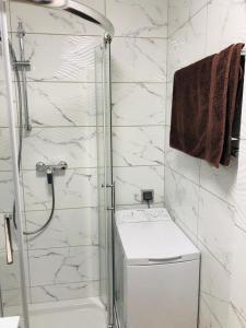 弗瓦迪斯瓦沃沃的住宿－Apartament Morski Relaks，带淋浴、卫生间和盥洗盆的浴室