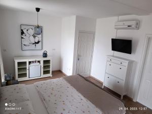 TV a/nebo společenská místnost v ubytování Marko Rooms