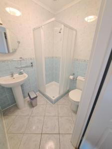 een badkamer met een douche, een toilet en een wastafel bij Pensjonat ,,Eden'' in Degendorf