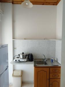 a kitchen with a stove and a sink in it at VILLA AGIA AIKATERINI in Amoudi