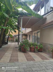 The building in which Az apartmant is located Még 3 kép