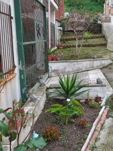 a garden with a gate and some plants at Simpatico appartamento autonomo sul mare in Termoli