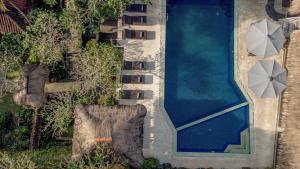 an overhead view of a swimming pool with umbrellas at Artini 2 Cottage Ubud in Ubud