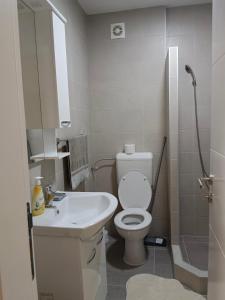 y baño con aseo, lavabo y ducha. en Apartman Valerija, en Doboj