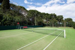 パデンゲ・スル・ガルダにあるAppartamento Gardazzurroの芝生の上にネット付きテニスコート