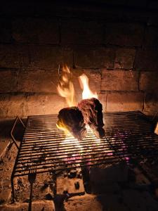 un four à feu avec un morceau de viande sur un grill dans l'établissement Vila KRISTINA, à Nedeščina