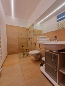 コルドラノにあるLangstein Bio Urlaub & Genussのバスルーム(洗面台、トイレ、シャワー付)