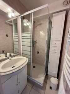 uma casa de banho com um lavatório e um chuveiro em Studio station Puy-Saint-Vincent 1700 em Puy-Saint-Vincent