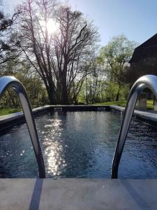 uma piscina de água com duas portas metálicas em L'annexe du Moulin Renaudiots em Autun