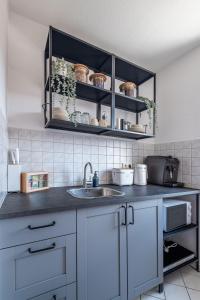 cocina con fregadero y encimera en Modernes Apartment am Campus - Parken - Smart-TV - Kaffeevollautomat, en Wernigerode