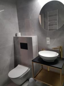 a bathroom with a sink and a toilet and a mirror at Apartament Wyłom 8 in Poznań