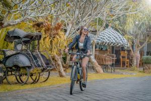 Majutusasutuse Umadhatu Resort by Amerta külastajad