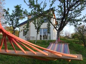 a hammock in front of a house at Vikendica Smokvica in Sremski Karlovci