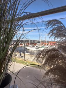 - une vue sur un port de plaisance avec des bateaux dans l'eau dans l'établissement Holmestrand, leilighet på bryggekanten, à Holmestrand