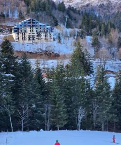 un bâtiment au sommet d'une colline enneigée avec des arbres dans l'établissement Appartement 4/6 le lioran, à Laveissière