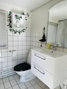 a bathroom with a toilet and a sink and a mirror at 5 minute walk to Lego house - private studio apartment with Garden in Billund