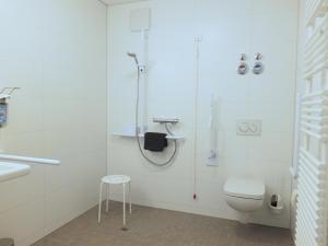 a bathroom with a shower and a toilet and a sink at Barrierefreies Apartment Ursulinenhof in Oberried