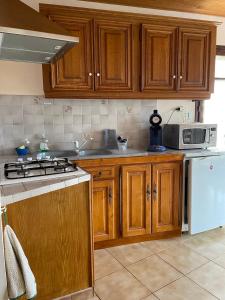 a kitchen with wooden cabinets and a white refrigerator at Chalet des Pyrénées in Capoulet-et-Junac