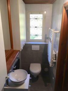 a small bathroom with a toilet and a window at Gîte chez Arthur in Vezzani