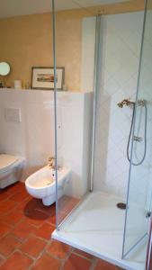 uma casa de banho com uma cabina de duche em vidro e um WC. em Old Style Cottage em Horní Paseka