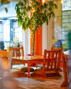 een houten tafel en stoelen met een potplant bij Sanskriti in Scionzier