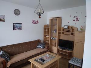 een woonkamer met een bank en een salontafel bij Apartment Gabi in Smoljanac