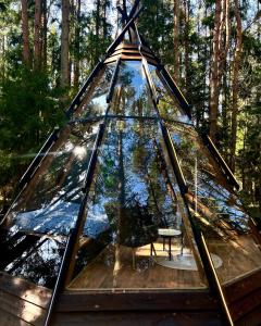 a glass tent with a picnic table in a forest at CallTipi glass house in Kalgriaužiai