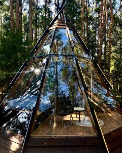 a glass tent with a picnic table in a forest at CallTipi glass house in Kalgriaužiai +7 photos
